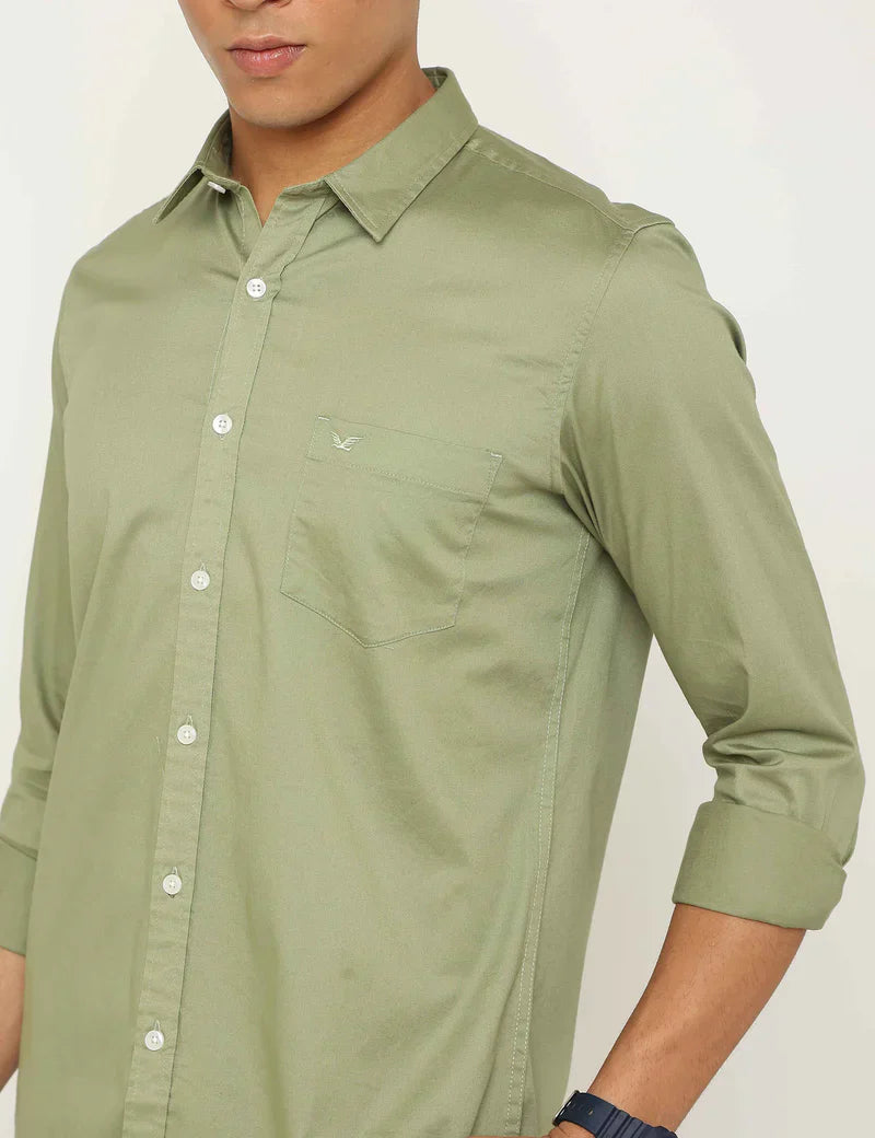 HOLLISTER SHIRTS