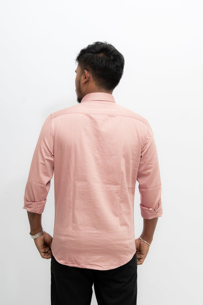 Soft Blush Rose